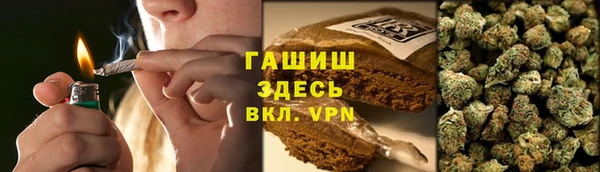прущие грибы Покачи