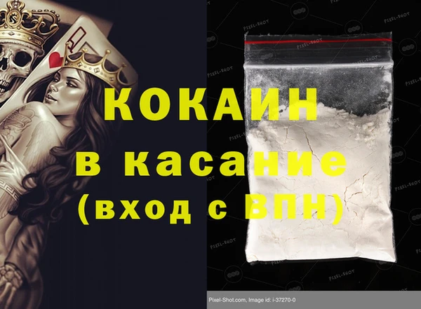 прущие грибы Покачи