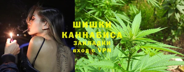 прущие грибы Покачи