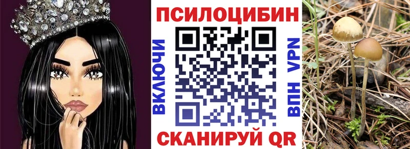 Псилоцибиновые грибы прущие грибы Куртамыш